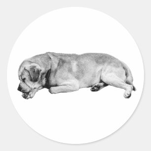 NAP-mentor Ronde Sticker