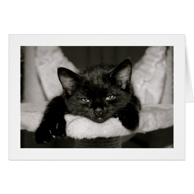 Nap met mij (Voorkant Horizontaal)