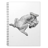 Nap Notes – Relaxed Dog Art Notebook Notitieboek (Voorkant)