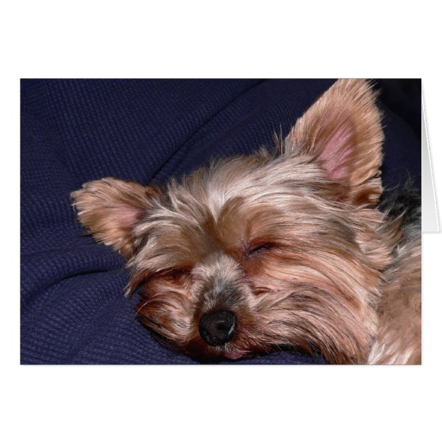 Nap Tijd (Voorkant Horizontaal)