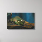 Nap Tijd Canvas Afdruk (Voorkant)