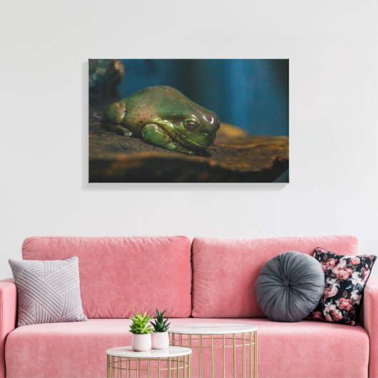 Nap Tijd Canvas Afdruk (Insitu (Woonkamer))