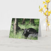 Nap Tijd Kaart (Gele Bloem)