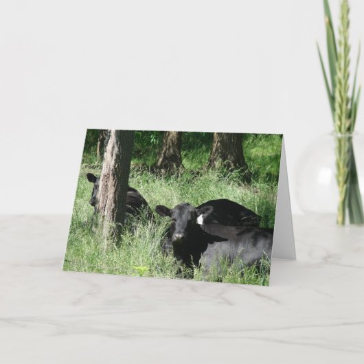 Nap Tijd Kaart (Voorkant)