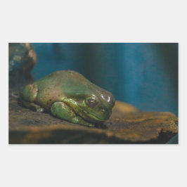 Nap Tijd Rechthoekige Sticker