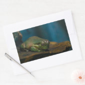 Nap Tijd Rechthoekige Sticker (Envelop)