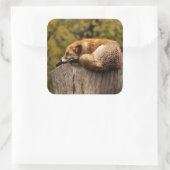 Nap Tijd Schattige Red Fox Sticker (Tas)