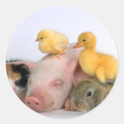 Nap Tijd voor de Dieren Ronde Sticker (Voorkant)