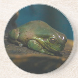 Nap Tijd Zandsteen Onderzetter