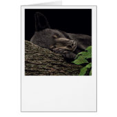 "Nap Time" Beer Kaart (Voorkant)