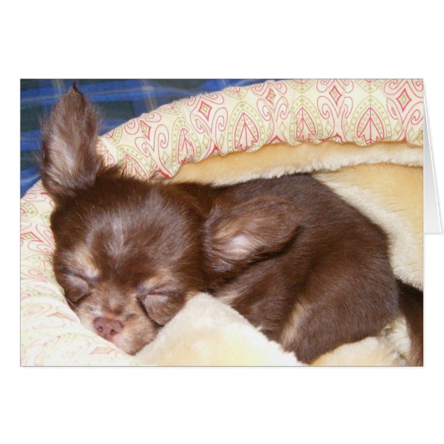 Nap Time - blank binnenin (Voorkant Horizontaal)