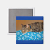 Nap Time for Indigo Magneet (Voorkant / Achterkant)