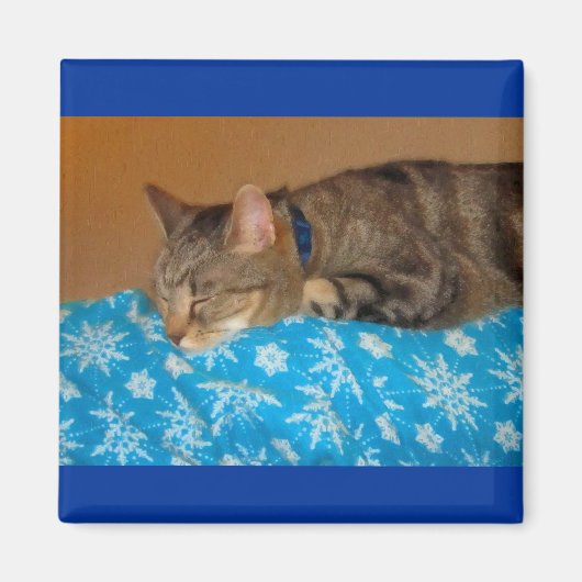 Nap Time for Indigo Magneet (Voorkant)