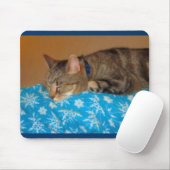 Nap Time for Indigo Muismat (Met muis)