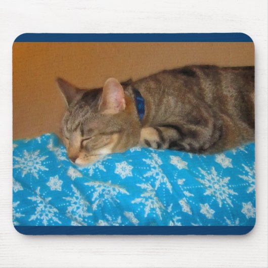 Nap Time for Indigo Muismat (Voorkant)