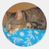 Nap Time for Indigo Ronde Sticker (Voorkant)