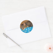 Nap Time for Indigo Ronde Sticker (Envelop)