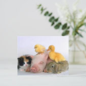 Nap Time for the Animals Briefkaart (Staand voorkant)