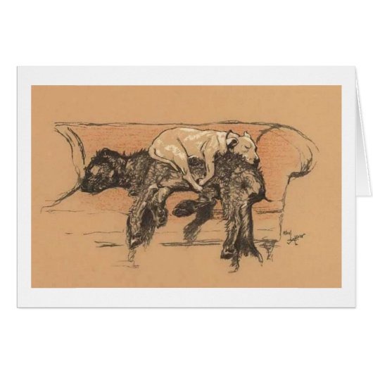  - Nap Time for Two Dogs, (Voorkant Horizontaal)