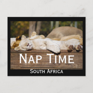 Nap Time Lion Cubs South Africa Briefkaart