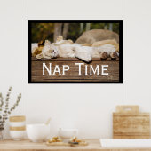 Nap Time Lion Cubs South Africa Poster (Keuken)