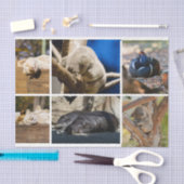 Nap Time Sleeping Animals Koala Decoupage Foto Tissuepapier (Craft)