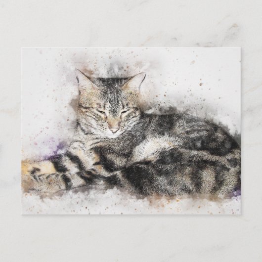 Nap Time Tabby | ABSTRACT | WATERVERF Briefkaart (Voorkant)
