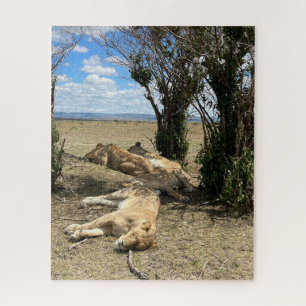 Nap Time voor Lions Kenia Legpuzzel