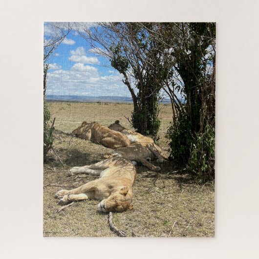 Nap Time voor Lions Kenia Legpuzzel (Verticaal)