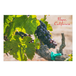 Napa, Californië Perfect Poster