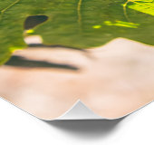 Napa, Californië Perfect Poster (Hoek)