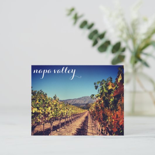 Napa Valley Autumn Harvest Vineyard Briefkaart (Staand voorkant)