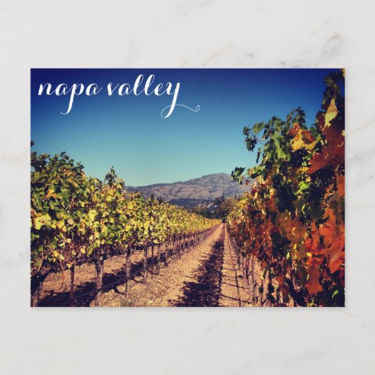 Napa Valley Autumn Harvest Vineyard Briefkaart (Voorkant)