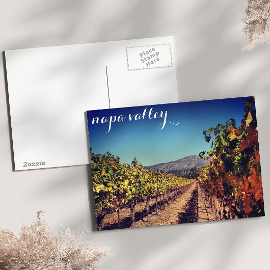 Napa Valley Autumn Harvest Vineyard Briefkaart