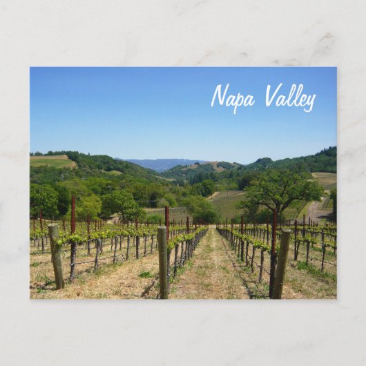 Napa Valley Briefkaart (Voorkant)