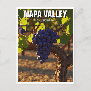 Napa Valley California Mosterdbloemen Briefkaart