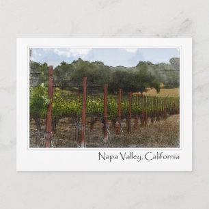 Napa Valley California Vineyard Briefkaart