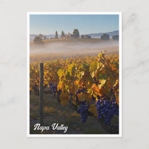Napa Valley California Vinyard Winery Briefkaart