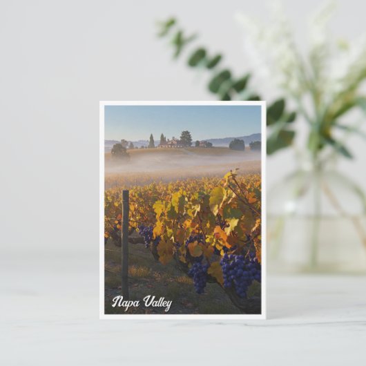 Napa Valley California Vinyard Winery Briefkaart (Staand voorkant)