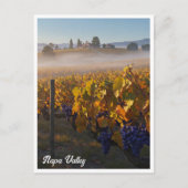 Napa Valley California Vinyard Winery Briefkaart (Voorkant)