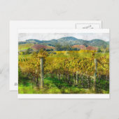 Napa Valley California wijngaard Briefkaart (Voorkant / Achterkant)
