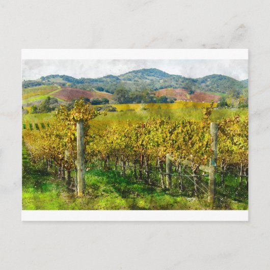 Napa Valley California wijngaard Briefkaart (Voorkant)
