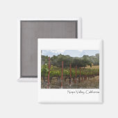 Napa Valley Californië Druivengaard Magneet (Voorkant / Achterkant)