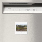 Napa Valley Californië Druivengaard Magneet (Insitu (Vaatwasser))
