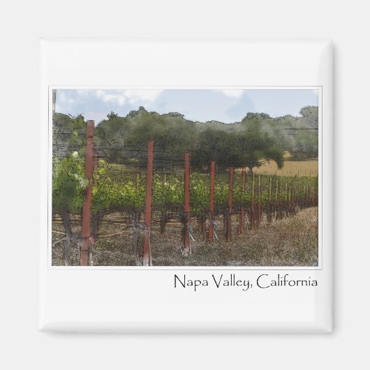 Napa Valley Californië Druivengaard Magneet (Voorkant)
