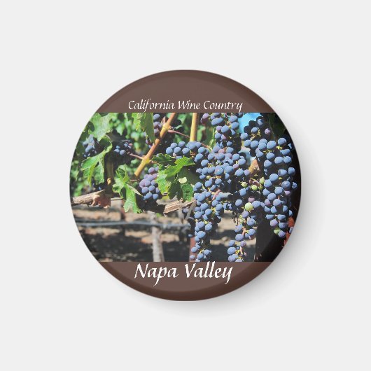 Napa Valley, Californië Wijnland Magneet (Voorkant)