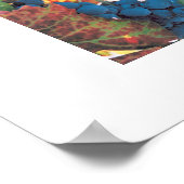 Napa Valley Grape Vine, wijngaard Poster (Hoek)