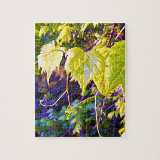 Napa Valley Legpuzzel