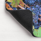 Napa Valley Oogst Muismat (Hoek)