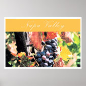 Napa Valley Poster (Voorkant)